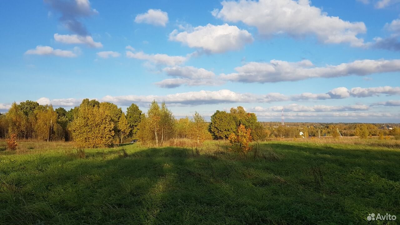 Дачный поселок дубовая роща. Деревня Бутырки Тульская область.