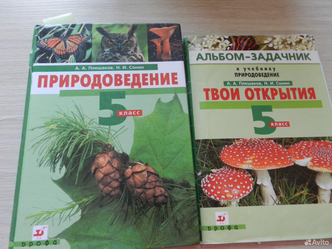 Н плешаков. Природоведение 5 класс Плешаков Сонин.