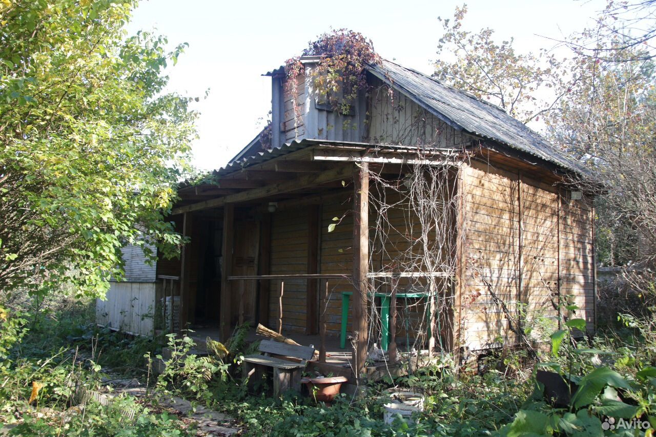 Садовое товарищество березка. СНТ мир Ногинского района Московской области. СНТ Березка Богородский округ.