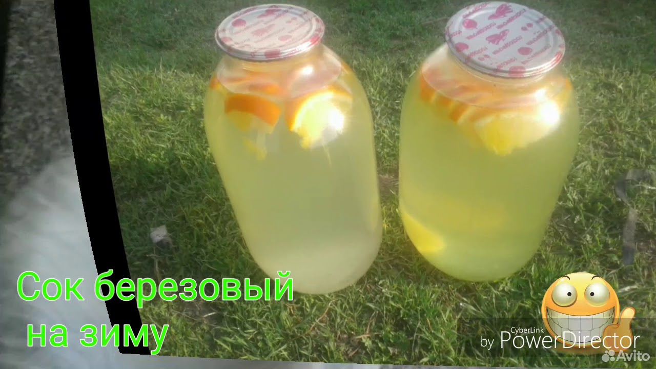 Лимонад на берёзовом соке купить на Зозу.ру - фотография № 2