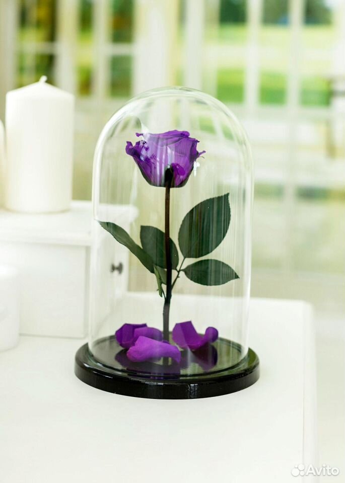 Вечная роза Кинг Сайз (purple) купить на Зозу.ру - фотография № 2