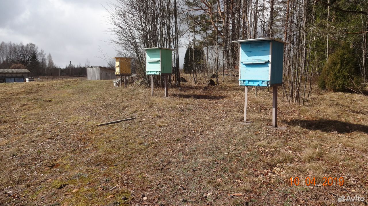 Новые ульи для пчёл, плюс купить на Зозу.ру - фотография № 1