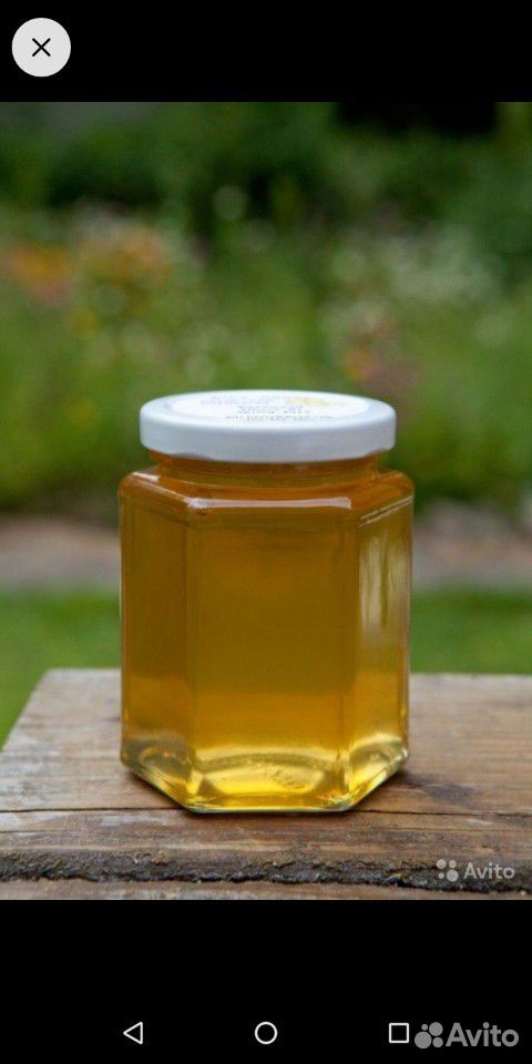 Мёд солонешенский купить на Зозу.ру - фотография № 1
