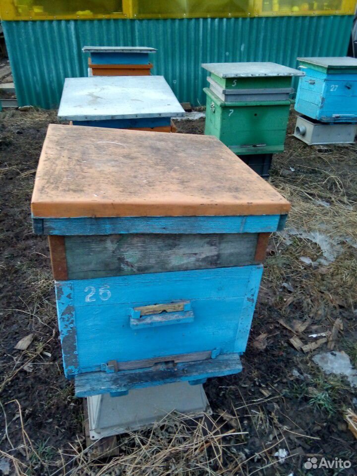Улей с пчелами + корпус на 12рамок купить на Зозу.ру - фотография № 2