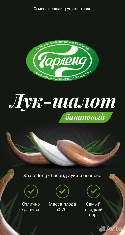 Лук шалот семена купить на Зозу.ру - фотография № 1