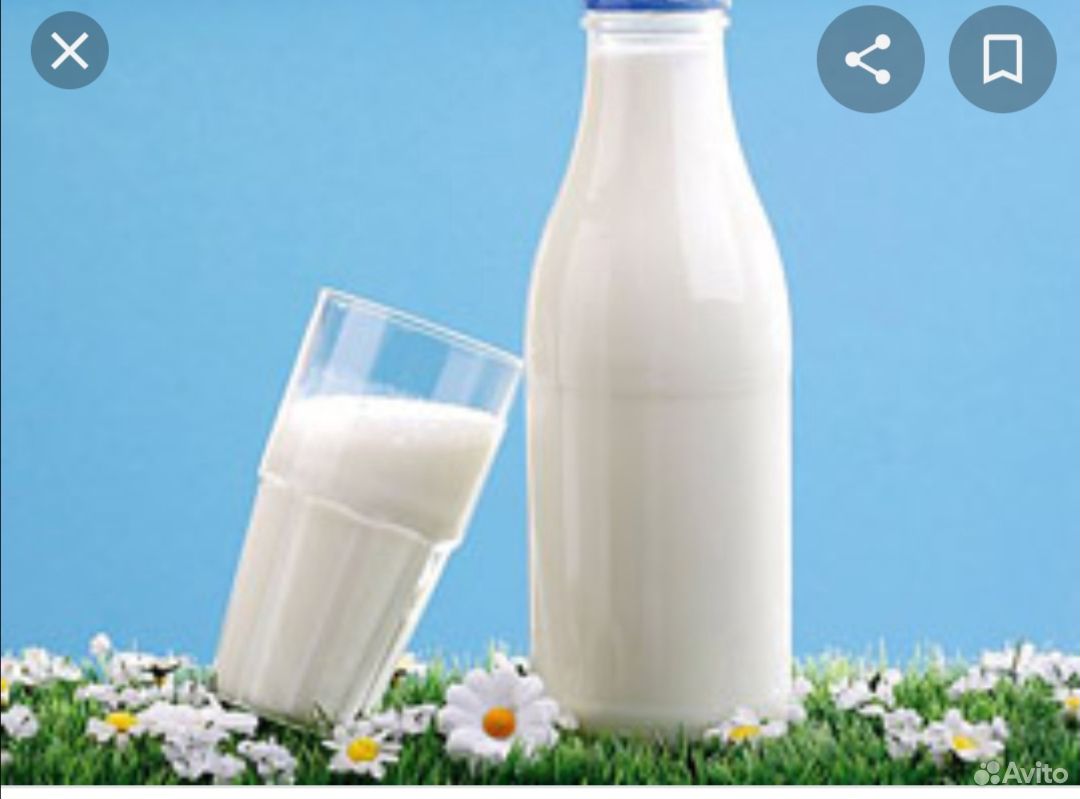 Бутылка молока буренка раньше вмещала. Молоко. Молоко картинка. Бутылка молока. Молоко домашнее.