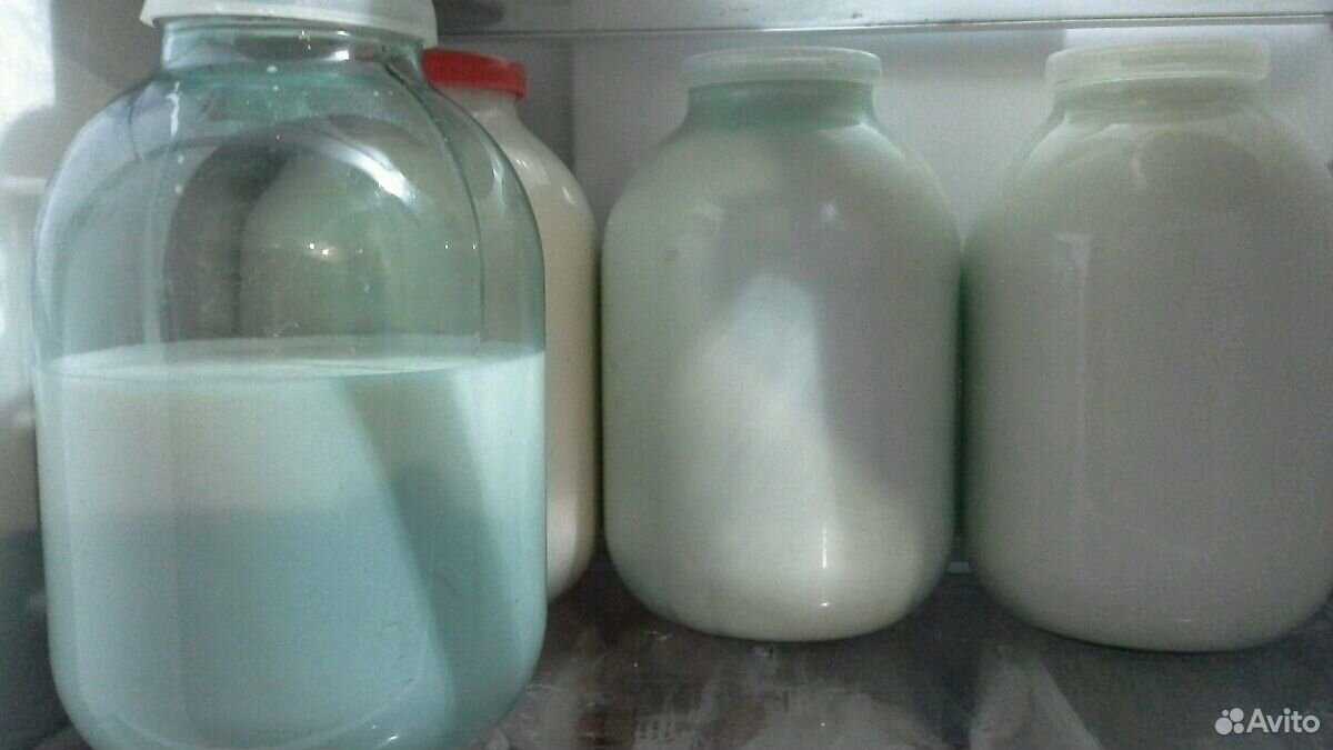 Молоко козье,сыр,творог,доставка купить на Зозу.ру - фотография № 1