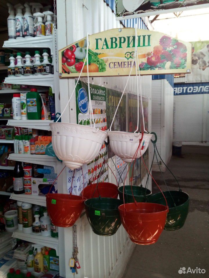 Семена для сада и огорода купить на Зозу.ру - фотография № 5