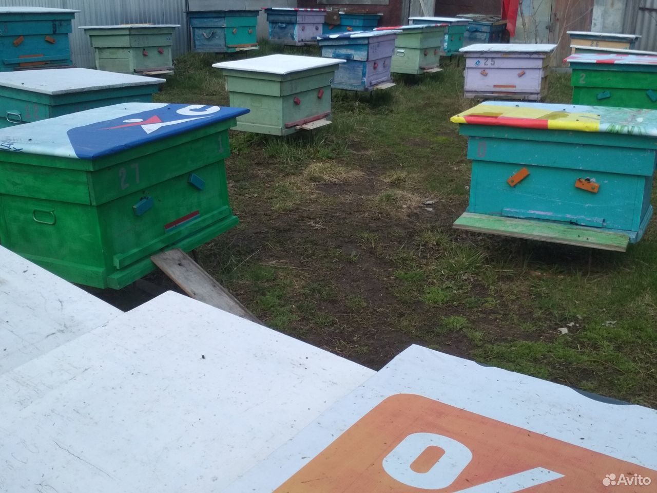 Улья с пчелами купить на Зозу.ру - фотография № 3