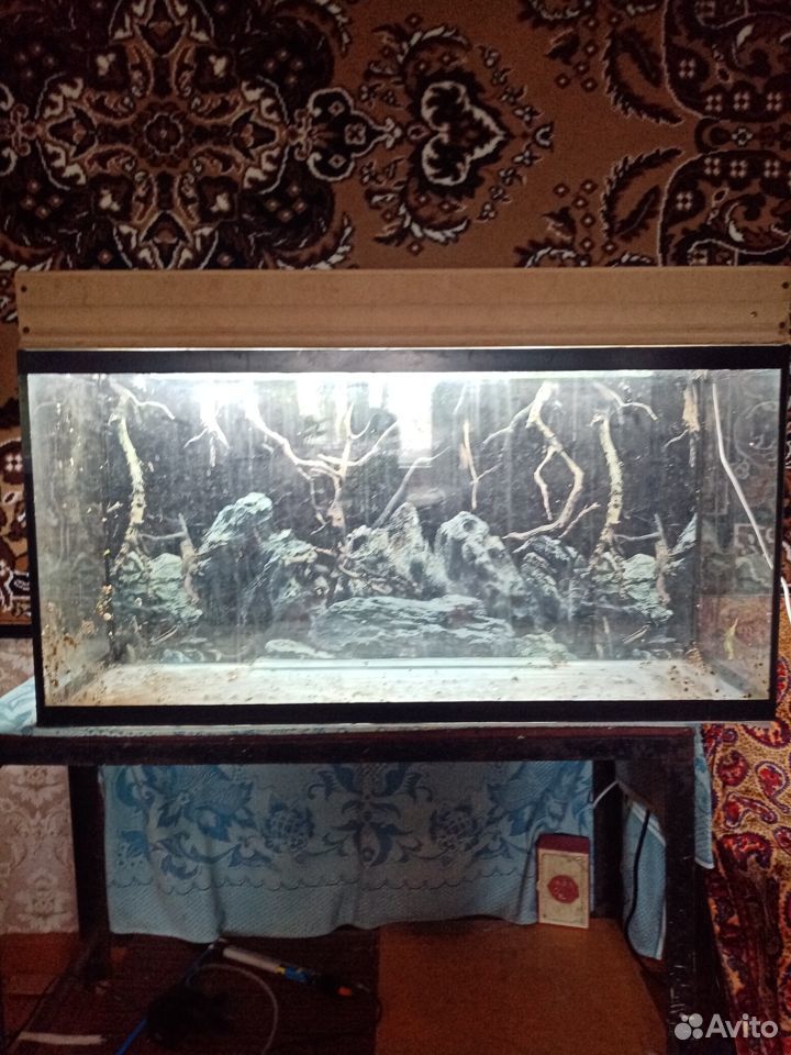 Продам аквариум на 150-160 почти новый был в польз купить на Зозу.ру - фотография № 3