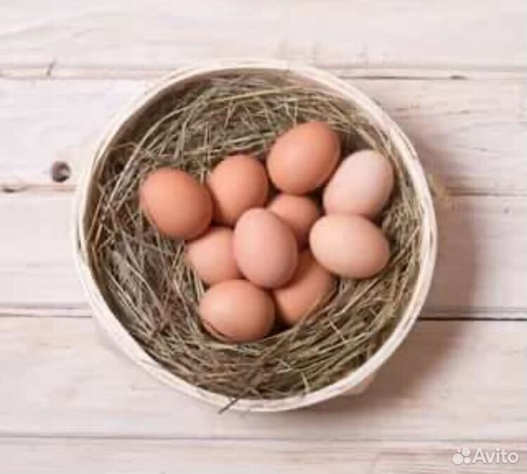 Яйцо домашнее купить на Зозу.ру - фотография № 1