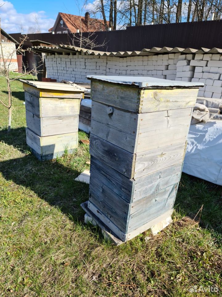 Ульи, улей, ящики для пчёл, рамки для улья купить на Зозу.ру - фотография № 6