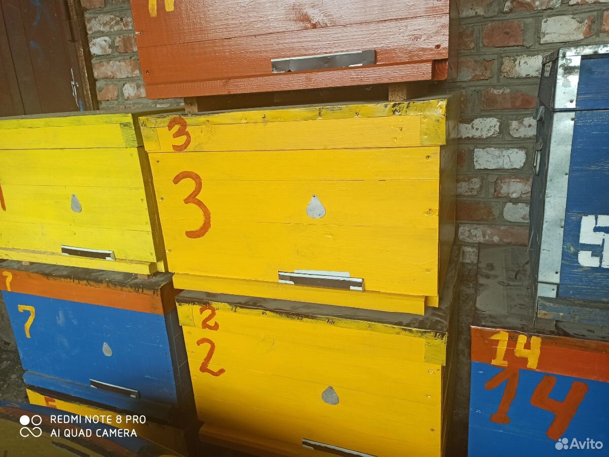 Ульи ящики для пчел купить на Зозу.ру - фотография № 3
