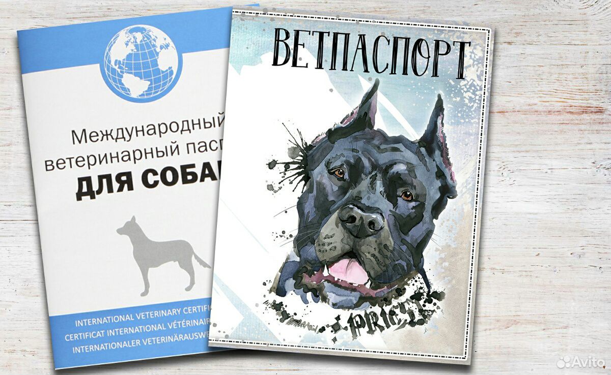 Ветеринарный паспорт купить на Зозу.ру - фотография № 4