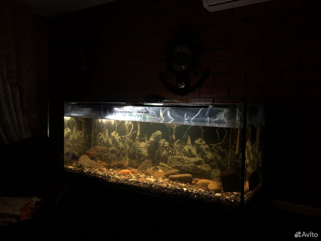 Большой готовый аквариум с рыбками купить на Зозу.ру - фотография № 6