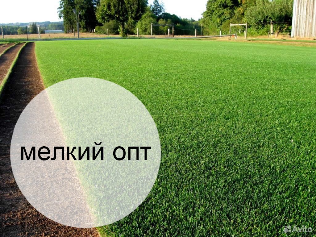 Эталон рулонный газон этого года мо купить на Зозу.ру - фотография № 1