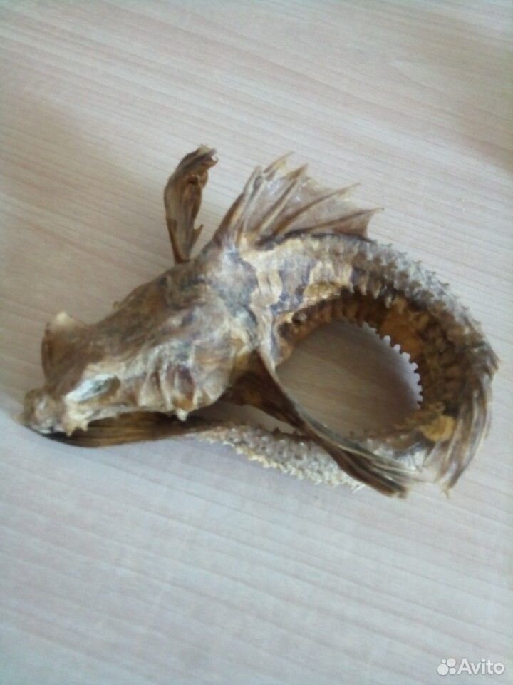 Рыба-дракон купить на Зозу.ру - фотография № 1