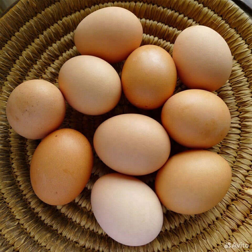 Молоко козье, яйцо куриное купить на Зозу.ру - фотография № 2