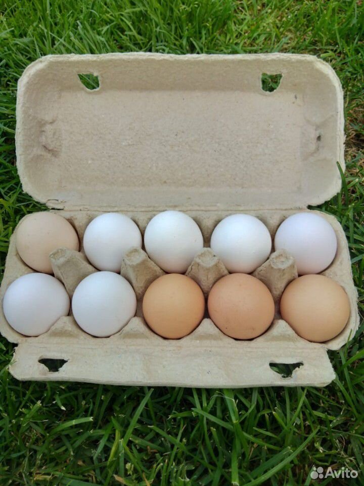 Продам куриные яйца крупные купить на Зозу.ру - фотография № 1