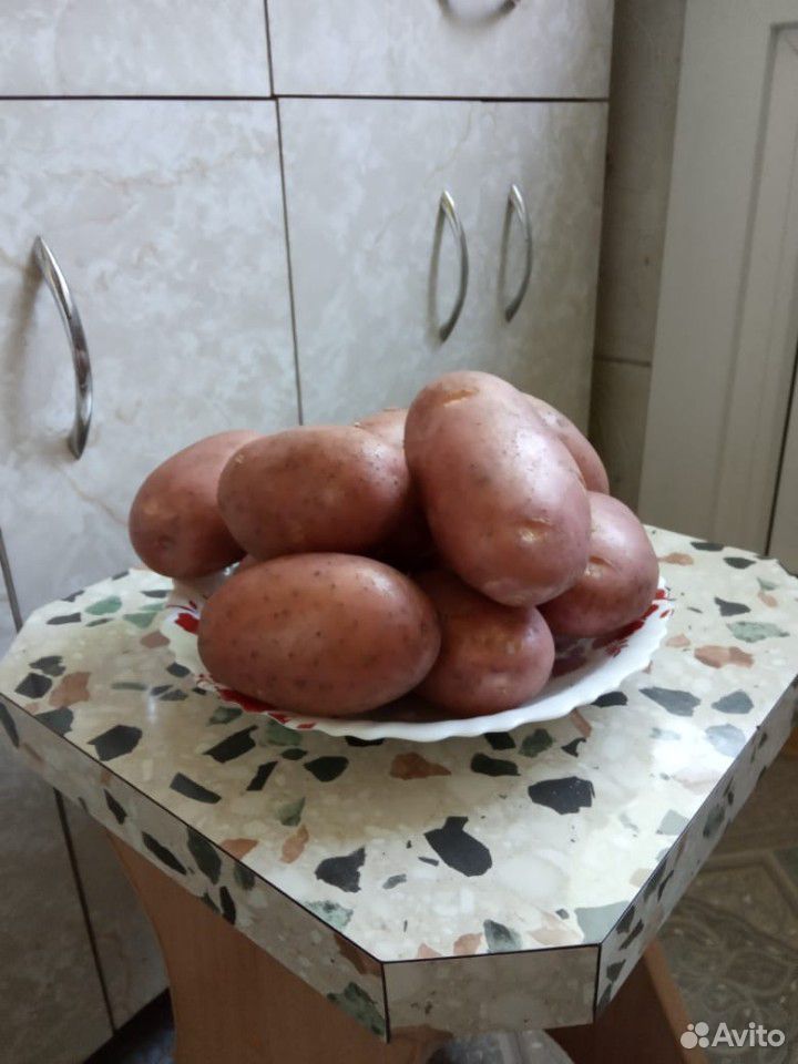 Картофель купить на Зозу.ру - фотография № 2