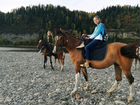Лошади для фотосессии, конные прогулки объявление продам