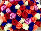 Цветочный бизнес онлайн-100 000 в месяц объявление продам