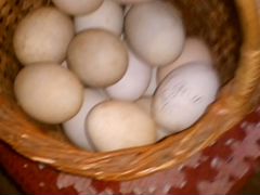 Инкубационное домашние яйцо кур уток