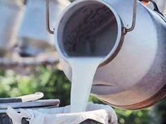 Молоко оптом и в розницу от производителя