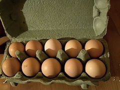 Яйца от минимясных кур