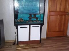 Продам аквариум. в62см ш 69 г39 со.полностью готов