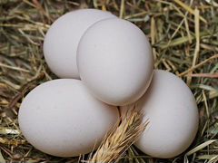 Яйца домашние, полученные на натуральных кормах