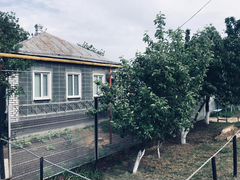 Краснодарский край станица незамаевская
