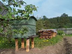 Башкирские пчёлы