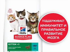 Корм Hill's Science Plan для котят с тунцом, 2 кг