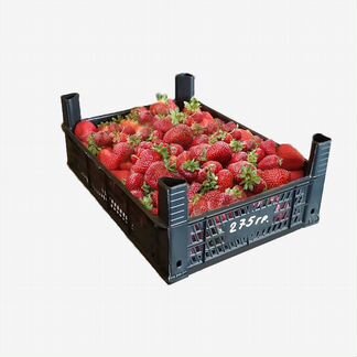 Ящики пластиковые для ягод и фруктов
