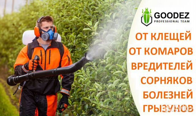 Обработка от комаров клещей короеда пауков кротов