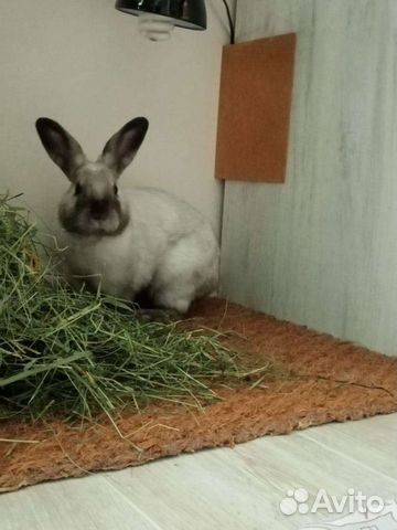 Сено ручной сборки