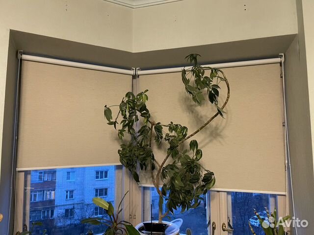 Рулонные шторы жалюзи