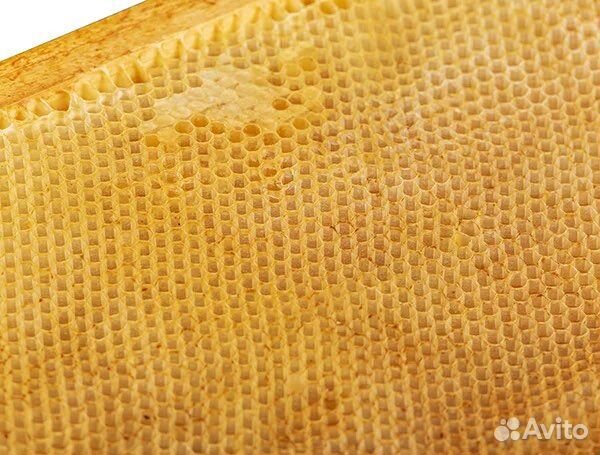 Сушь для пчел