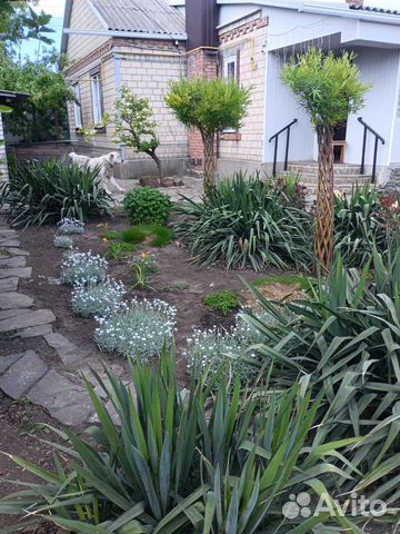 

Дом 90 м² на участке 6 сот.