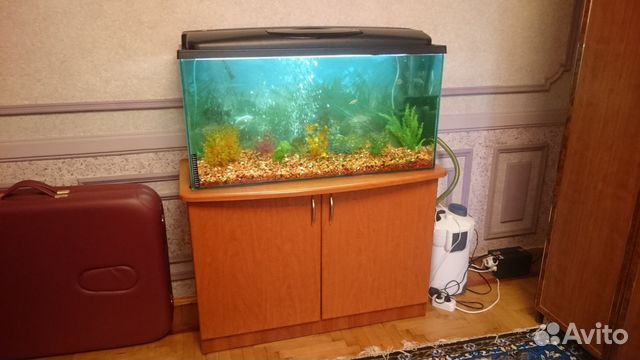 Изготовим аквариум купить на Зозу.ру - фотография № 6