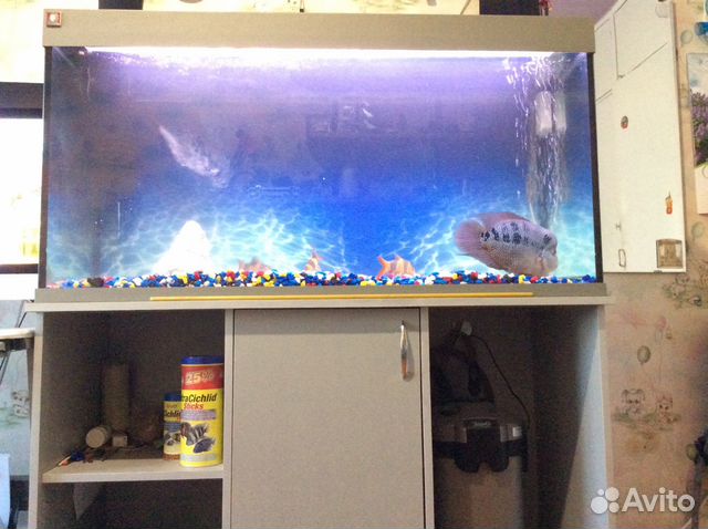 Аквариум