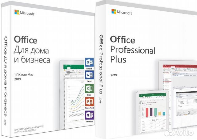 microsoft office professional 2019 vs home and business