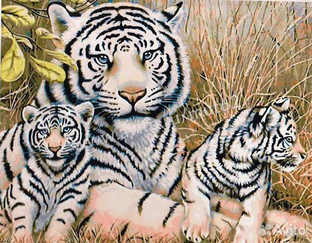 Картины по номерам