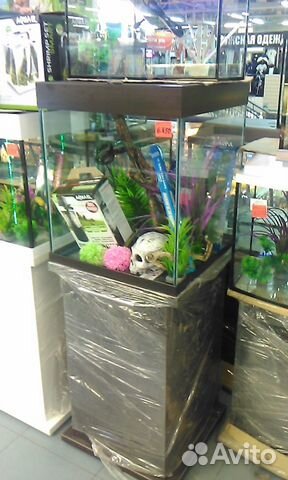 Аквариум