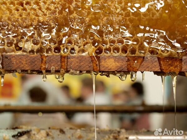 Мёд в сотах продаём
