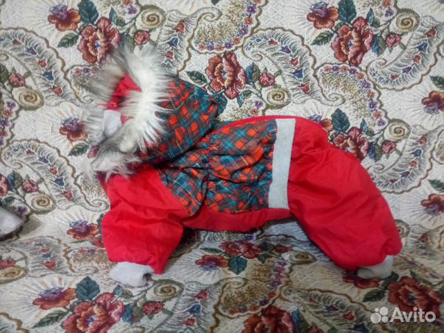 Комбинезон для собаки