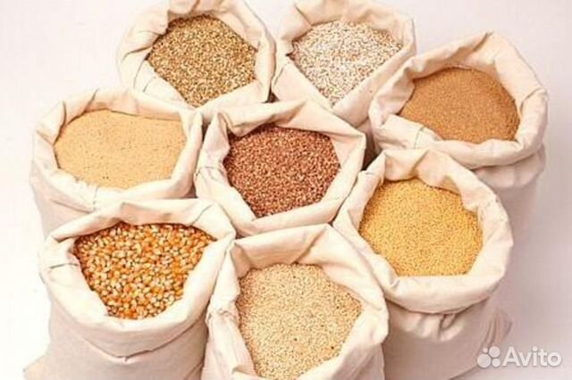 Пшеница, комбикорм, кукуруза купить на Зозу.ру - фотография № 1