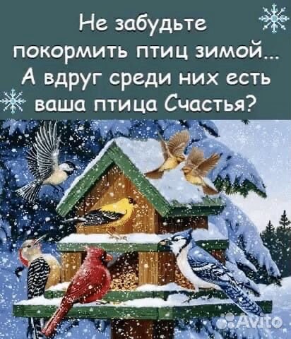 Кормушка для птиц