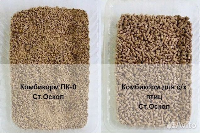 Комбикорма маркорм. Корм монде мочекаменка. Кормовая 4 буквы. Кормовая 4 буквы. Кормовая 4 буквы.